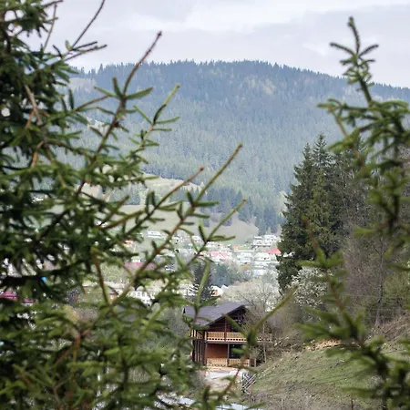 אכסניה Karpatska Oselia ורחובינה