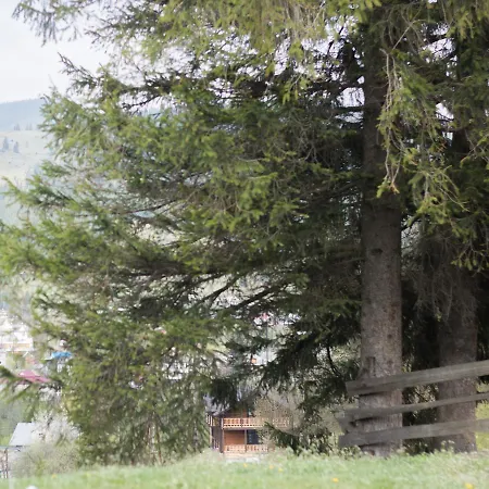 Karpatska Oselia بيت خشبي *