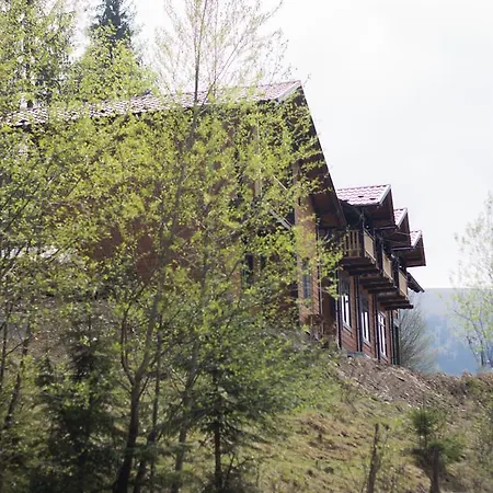 Karpatska Oselia بيت خشبي فيرخوفينا