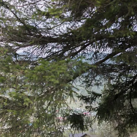 Karpatska Oselia بيت خشبي *