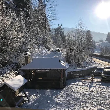 Karpatska Oselia بيت خشبي *