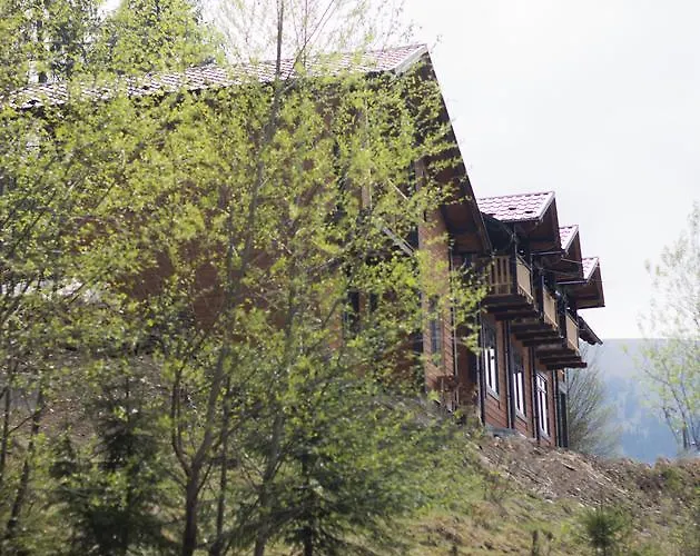 Karpatska Oselia 山林小屋 韦尔霍维纳